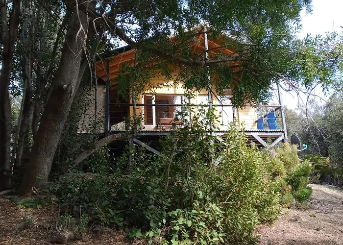 Cabañas Costa Maitena Villa Pehuenia